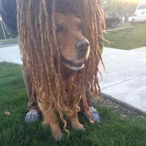 Meet your Posher, Austin